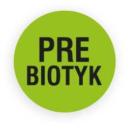 Prebiotyk